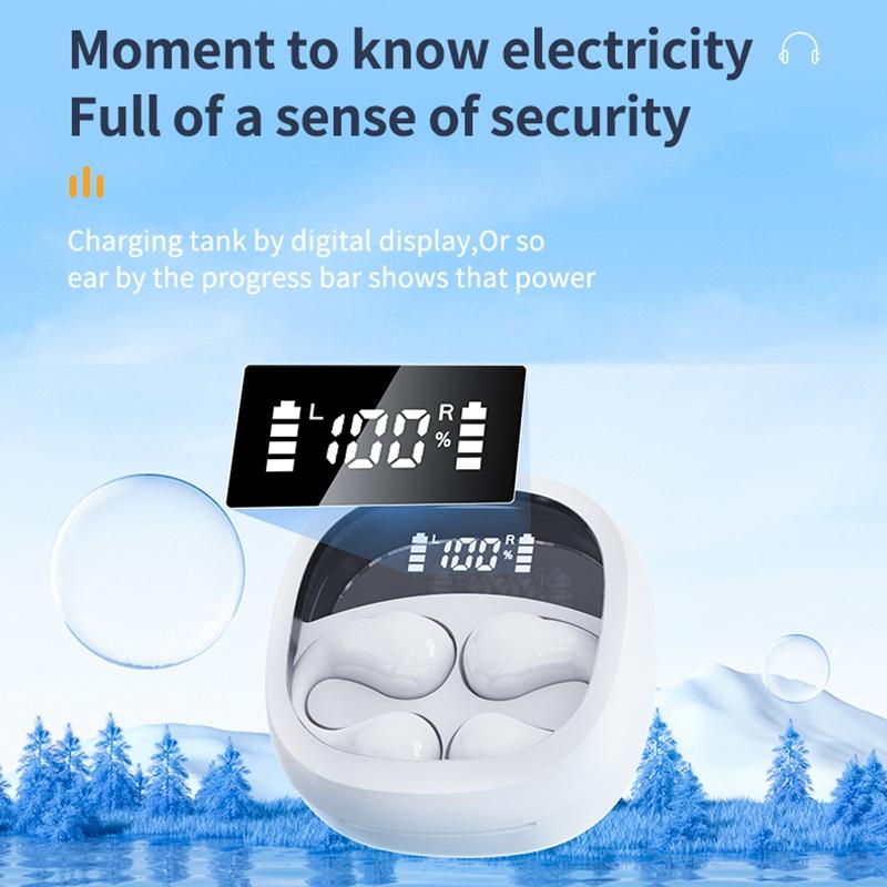 Transparent Capsule Bluetooth 5.3 Earphones with Digital Display