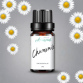 Chamomile Essential Oil 10ml